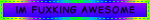 blinkie that says im fuxking awesome