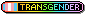 transgender identity button